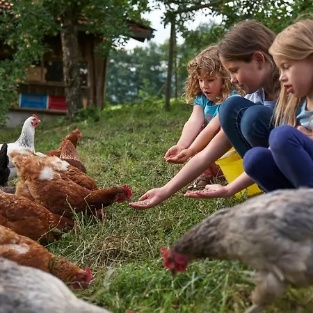 Schoffahanslhof Farm stay *